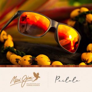 Pailolo Social Post – 1080×1080